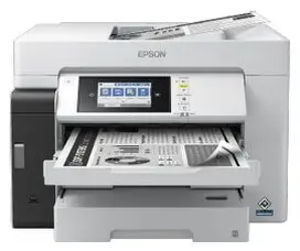 Epson Pro M15180 Epson Pro M15180
